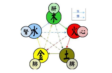 火跟土|五行（对万事万物的取象比类）